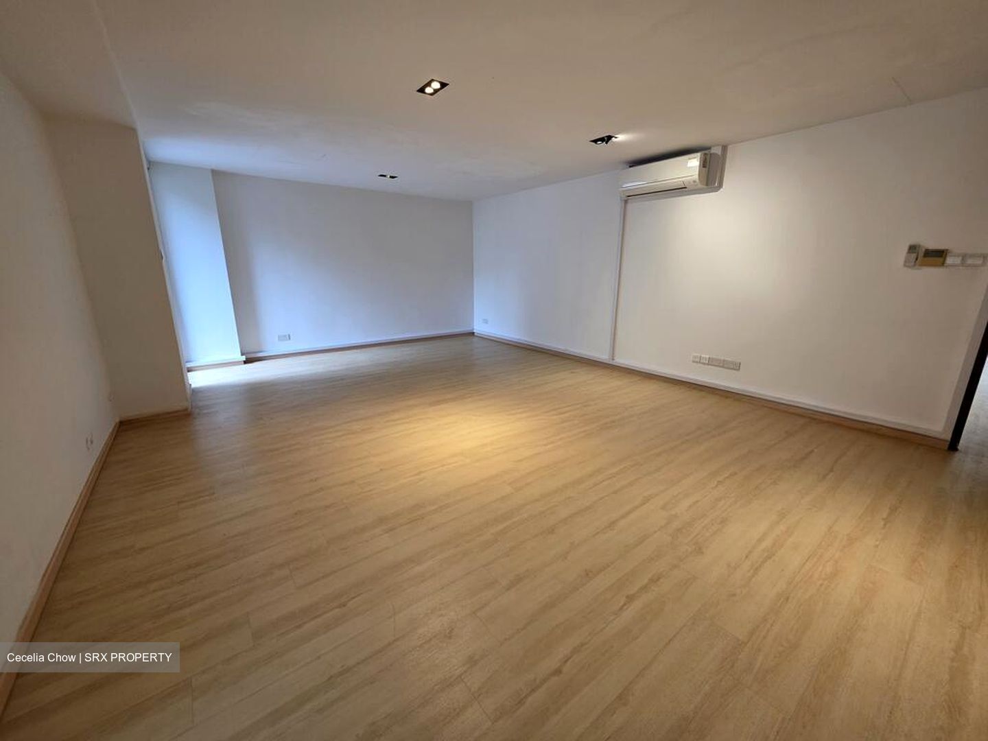 Bukit Timah Road (D21), Apartment #551260391